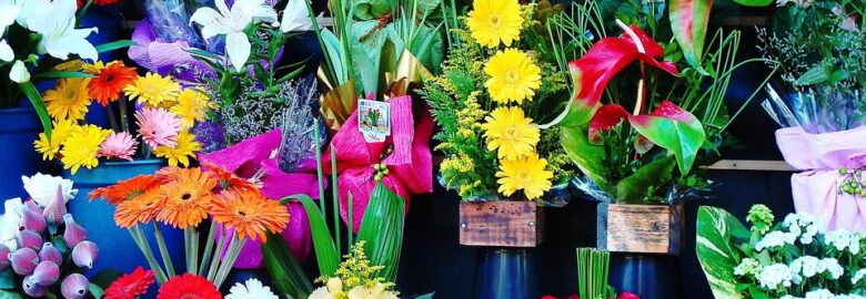 Commercial Retail Shop for Sale